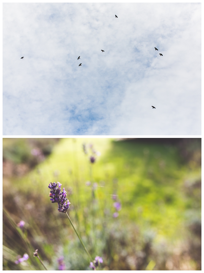 Lynford Hall Wedding | Norfolk